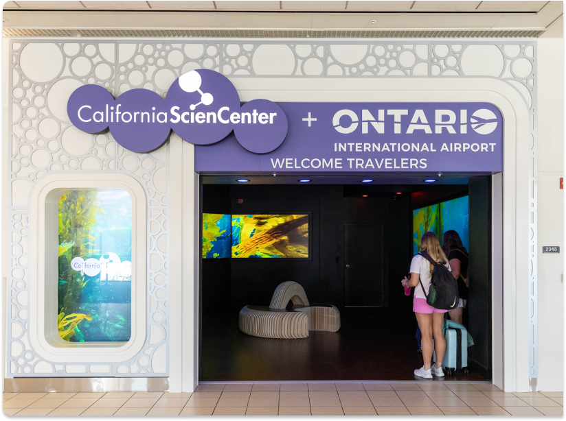 Layover at ONT? Here’s How to Enjoy It