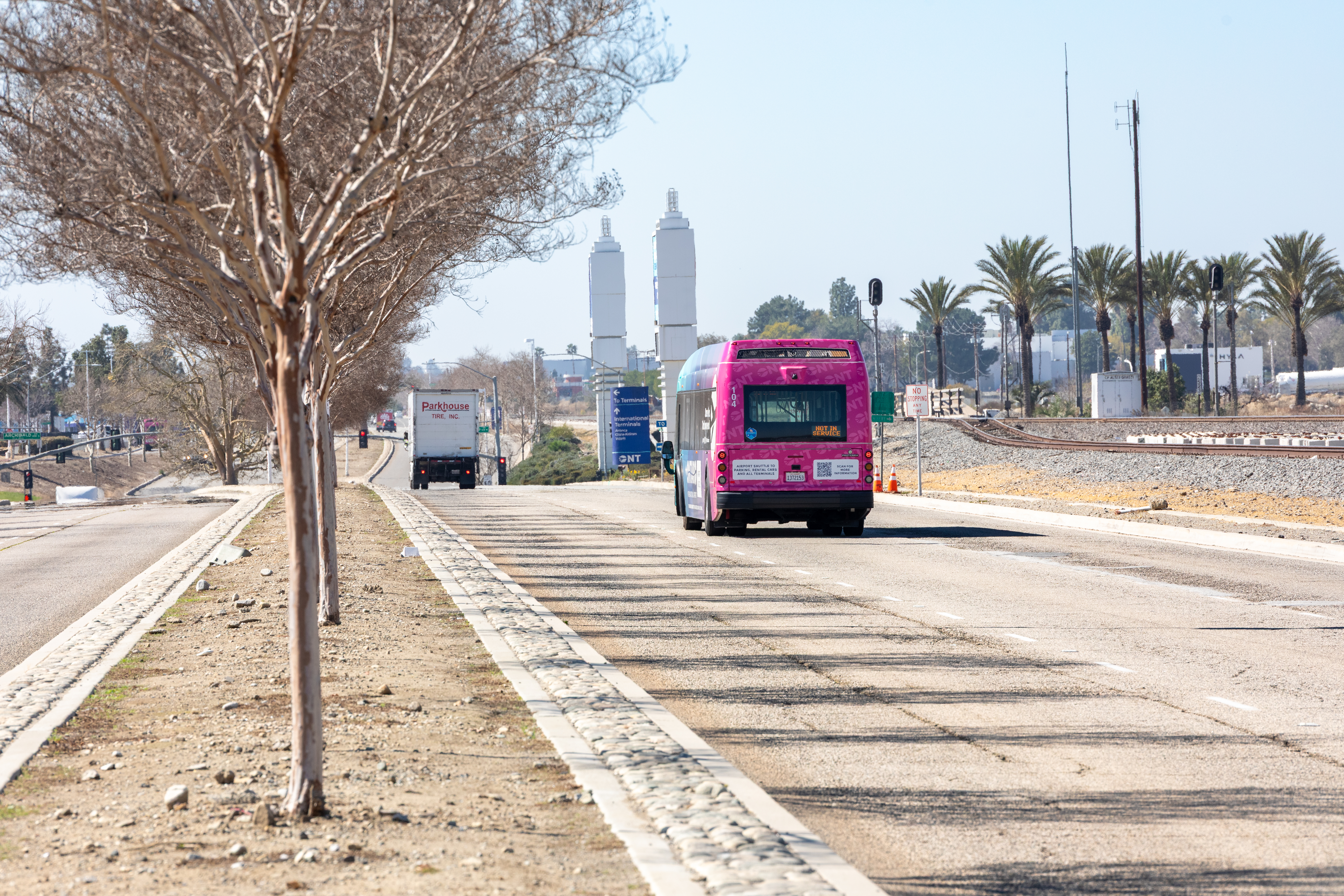 Pink bus driving on a road with palm trees and buildings in the distance.