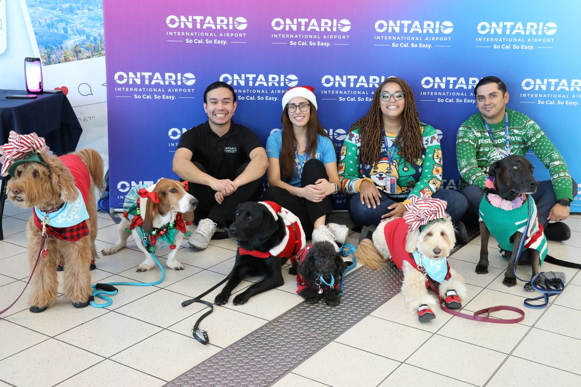 Four people sit on the ground with six dogs dressed in holiday costumes.